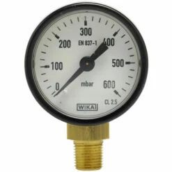 Manomètre 0-600 Mbar - Raccord Vertical Mâle 10x100 - Favex